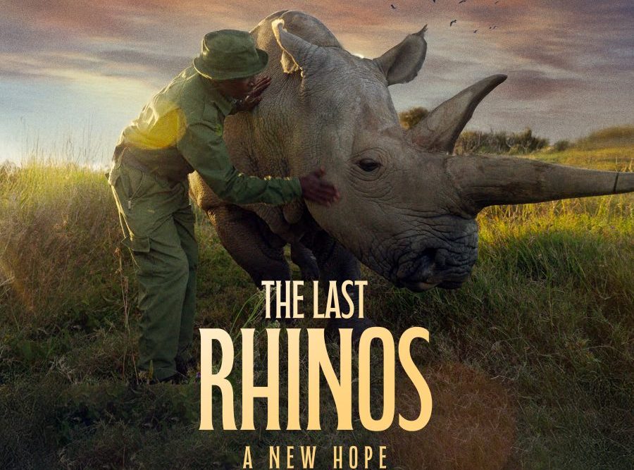 BioRescue Efforts—Nat Geo’s The Last Rhinos: A New Hope [Exclusive]